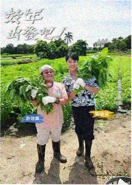 王牌对王牌